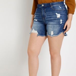 Eloquii Distressed Denim Short Size 20